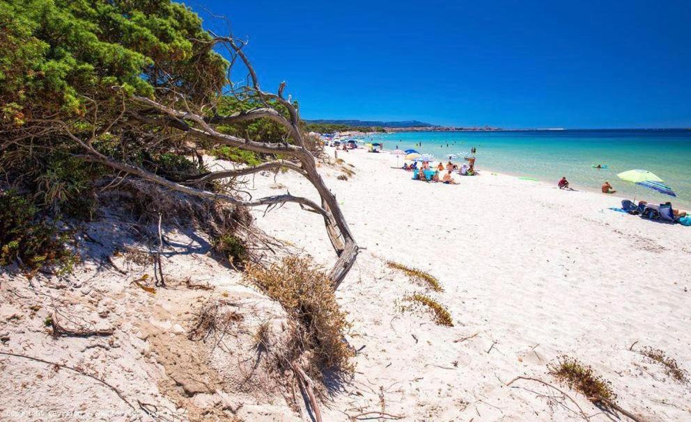 Appartamento A Pochi Passi Dalla Spiaggia Alghero Exterior photo